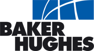 BHI logo