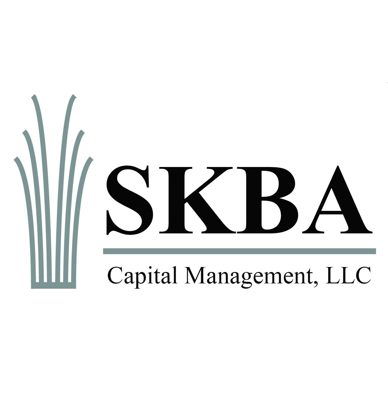 Matthew R. Segura, CFA, is the Director of Institutional Portfolio Management at SKBA Capital Management, LLC.